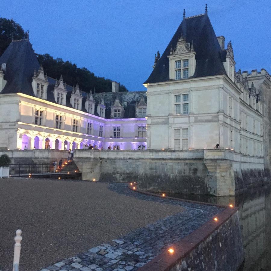 Chambre D'Hotes La Membrolle-sur-Choisille Екстериор снимка